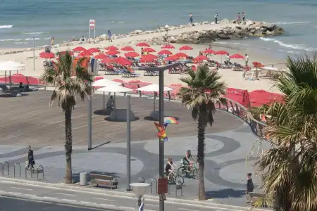 TLV 88 Sea - 28