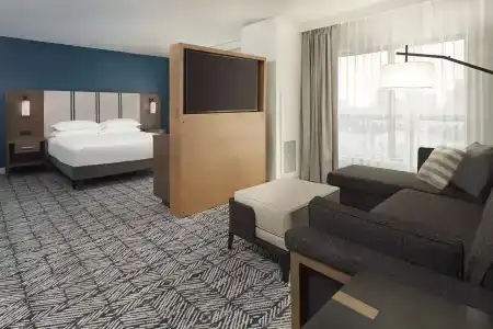 The Chifley Houston, Tapestry Collection by Hilton - 42
