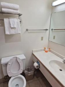 Alex and Suites - 40