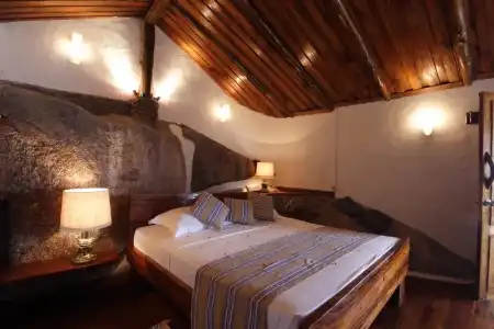 Chauve Souris Relais - 19
