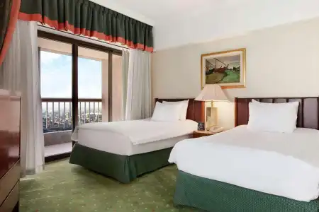 Ramses Hilton - 46