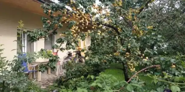 Evergreen Guesthouse - 2