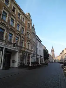 RingSchwarzer Baer - 21
