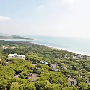 Picobello - 47