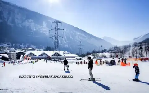 Viktoria Leukerbad - 24