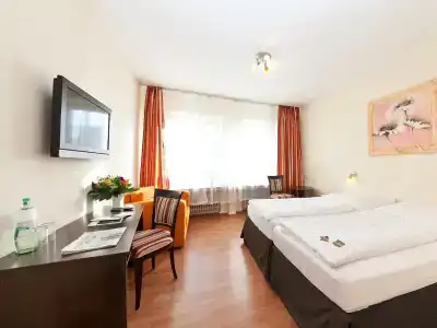 Palm Premium - 49