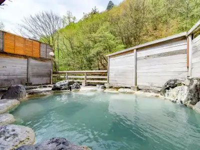 Shirahone Onsen Tsuruya Ryokan - 41