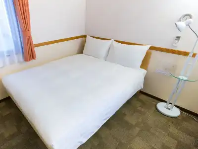 Toyoko Inn Fujisan Mishima-eki - 29