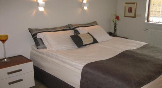 Ace Guesthouse - 3