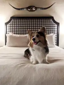 Oceanpoint Ranch - 58