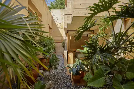 Escondido Oaxaca , Oaxaca, a Member of Designs - 22