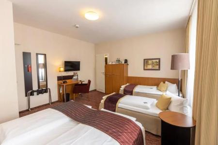 Comfort Tom Kyle - 41