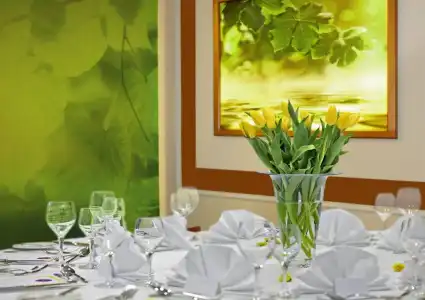 Spa & Wellness Olympia Marienbad - 21