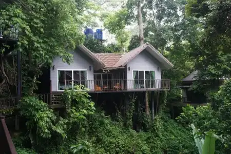 Rock And Treehouse Resort - 39
