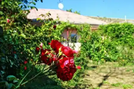 Vila Roz - 11