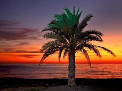 Arrayanes Playa Almuñecar - 9