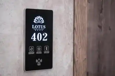 Zolotoy Lotos - 52