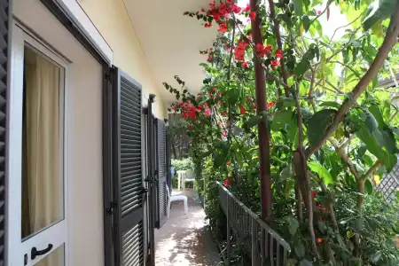 Villa Wanda - 39