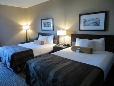 Hampton Inn by Hilton Los Angeles Airport - 60