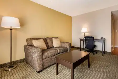 Quality Inn & Suites - 51