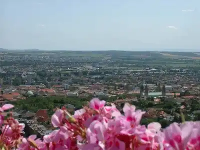 Fenyves Panorama Pecs - 5