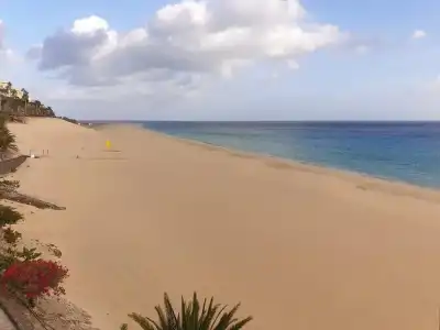 XQ El Palacete - 39