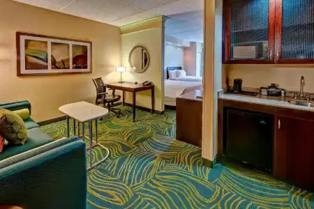 SpringHill Suites Marriott Norfolk Old Dominion University - 29