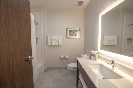 Holiday Inn Express & Suites HOUSTON WESTCHASE - WESTHEIMER by IHG - 17