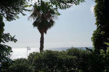 Beau Rivage - 99
