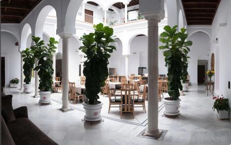 Palacio Pinello - 19