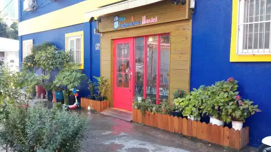 Blue Backpackers Hostel - 0