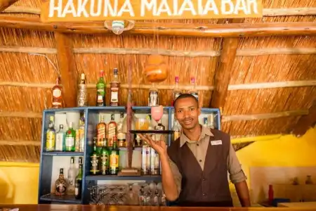 Manyara Wildlife Safari Camp - 2