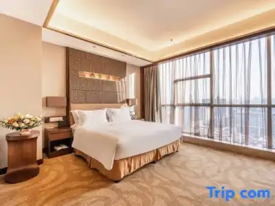 Holiday Inn Xi'an Big Goose Pagoda by IHG - 171