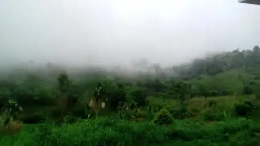 Lovely Farm - 34