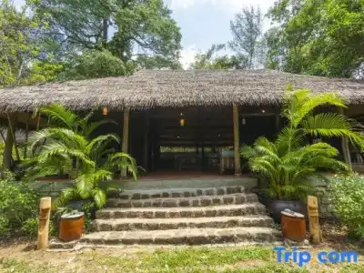 Mango Bay Resort - 199