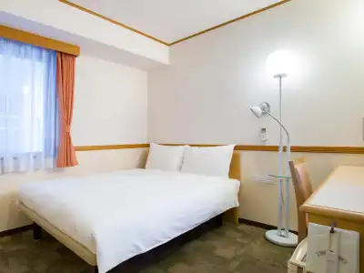 Toyoko Inn Fujisan Mishima-eki - 41