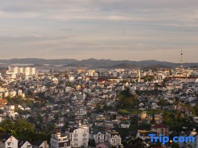 New Life Dalat - 219