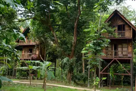 Our Jungle Camp - Eco Resort - 42