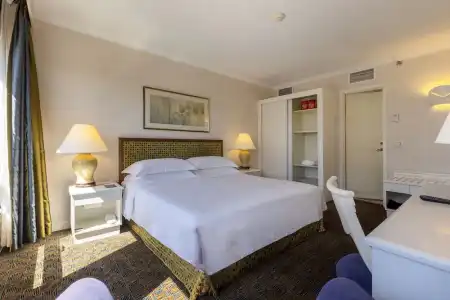 Grand Skylight Royal - 81