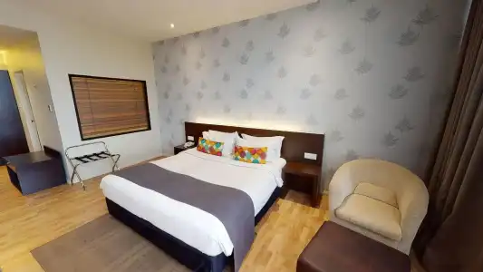The LimeTree - 46