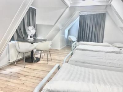 The White Tulip Hostel - 59