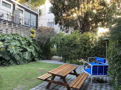 Pug Seal Polanco Allan Poe - 13