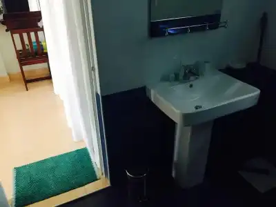 Peacock Villa - 28