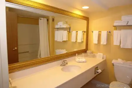 Holiday Inn Express Pigeon Forge/Near Dollywood by IHG - 10