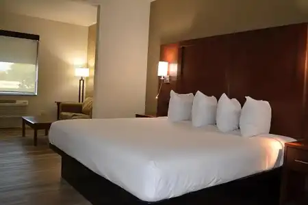 Wingate by Wyndham College Station South - 60