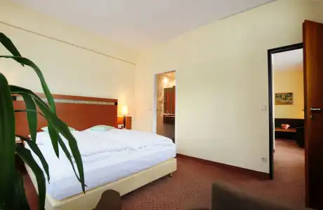Hansa Apart-Worldhotel - 2