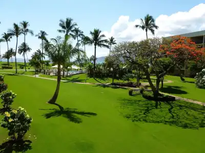 Maui Sunset - 98