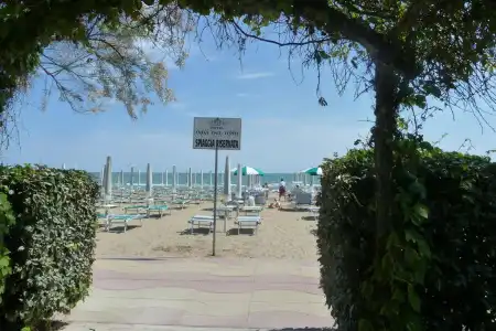 Vina del Mar Pineta - 33