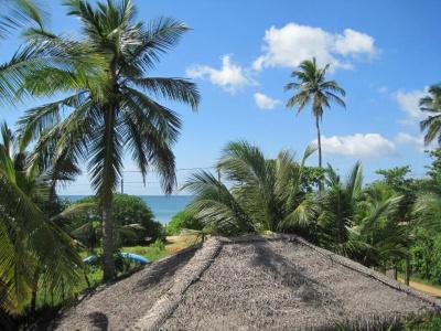 Beach Lagoon Guesthouse - 68
