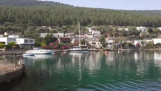 Zena Bodrum - 5
